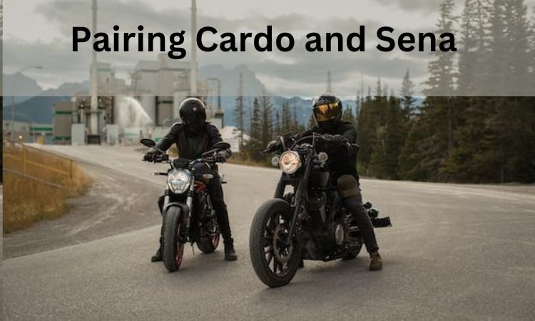 cardo sena pairing